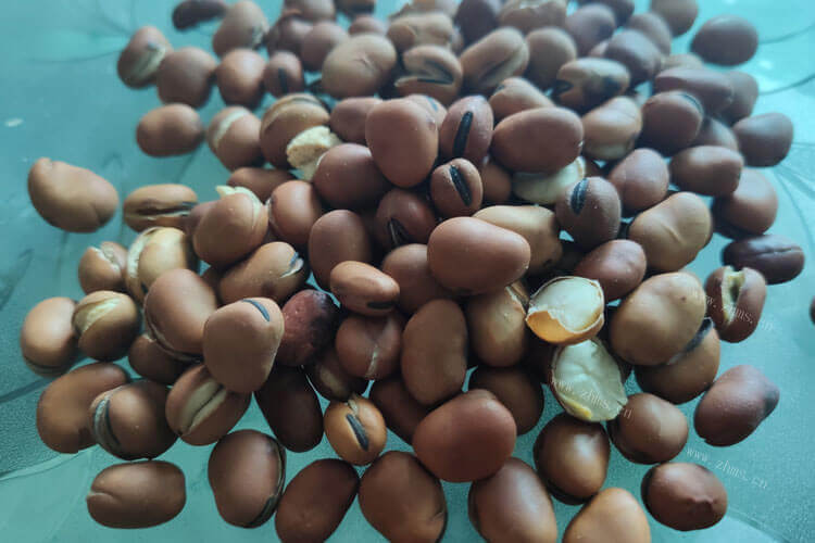 买了一些新鲜的蚕豆，新鲜蚕豆怎么做好吃又简单？