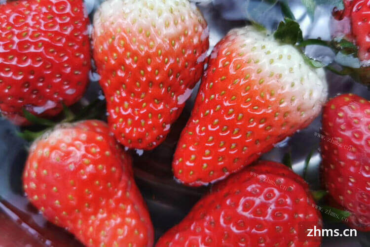 无锡哪里有采摘草莓？