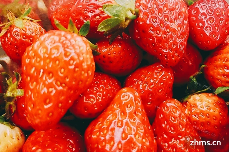每次吃草莓的时候总会买很多，草莓洗后第二天会坏吗
