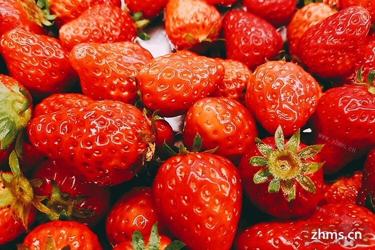 我喜欢带孩子去草莓园摘草莓，草莓园的草莓可以洗吗？