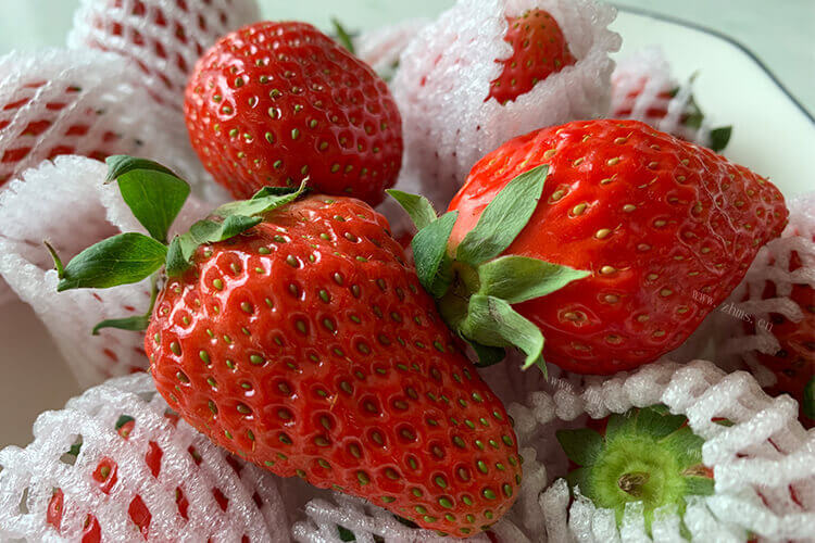 想做一个草莓蛋糕，草莓蛋糕怎么烤？