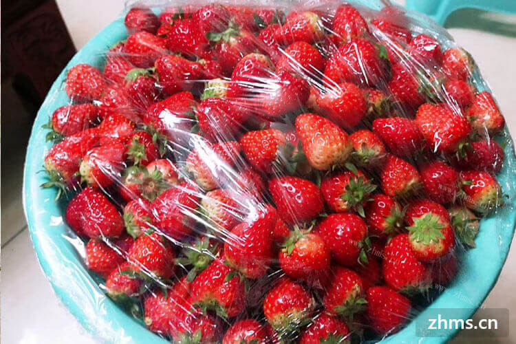 很多女孩都喜欢吃草莓，那你知道草莓是几月份上市的吗？