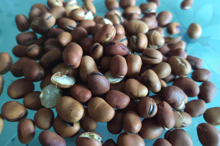 刚下的奶奶送来一些干蚕豆，干蚕豆怎样煮五香蚕豆？