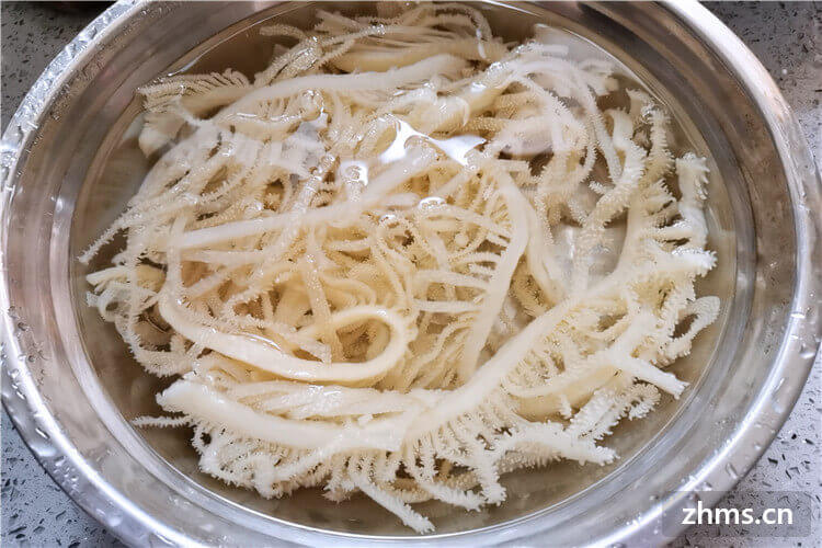 百叶是牛的哪个部位