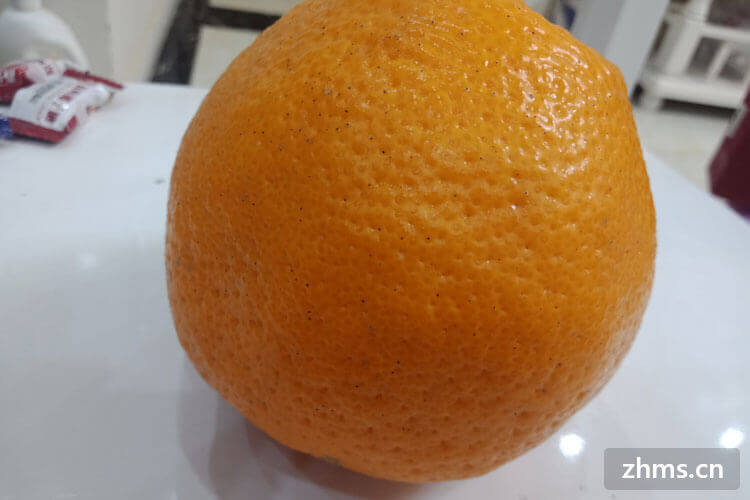 橘子是几月份的水果