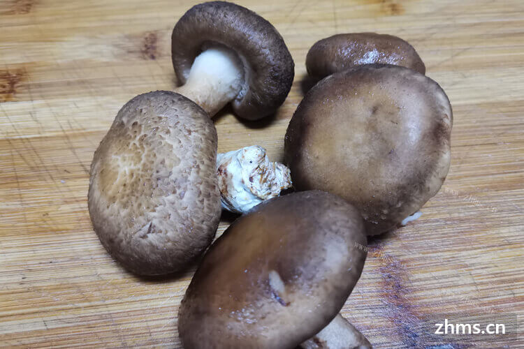 准备用冬菇来炒菜吃，香菇油菜里面的香菇怎么切？