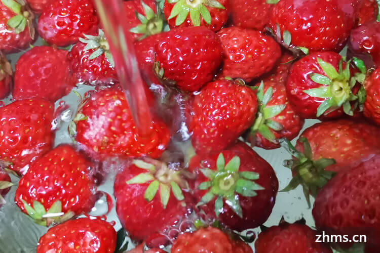 草莓营养到底有多么的丰富