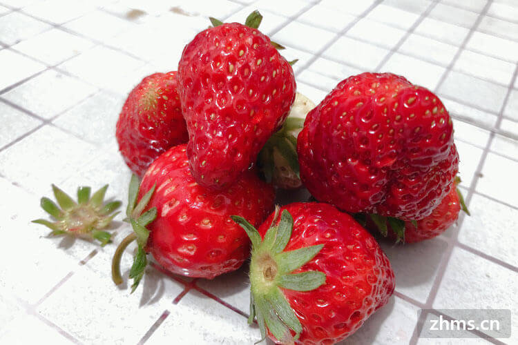 奶油草莓一年结几次果呢?