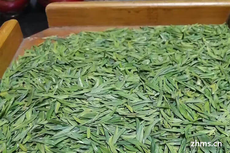 布兰兔的茶杭州店每年有多高盈利
