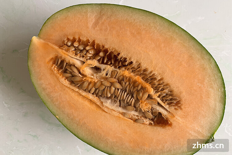 哈密瓜在什么季节吃的
