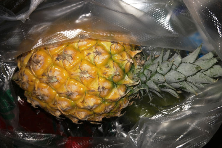 但是切开后发现里面没熟，请问菠萝蜜皮变色了没熟