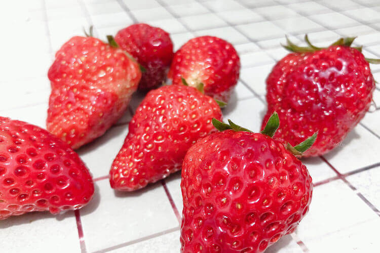 草莓是一种特别热的水果，很好吃，哪种草莓品种好吃呢？