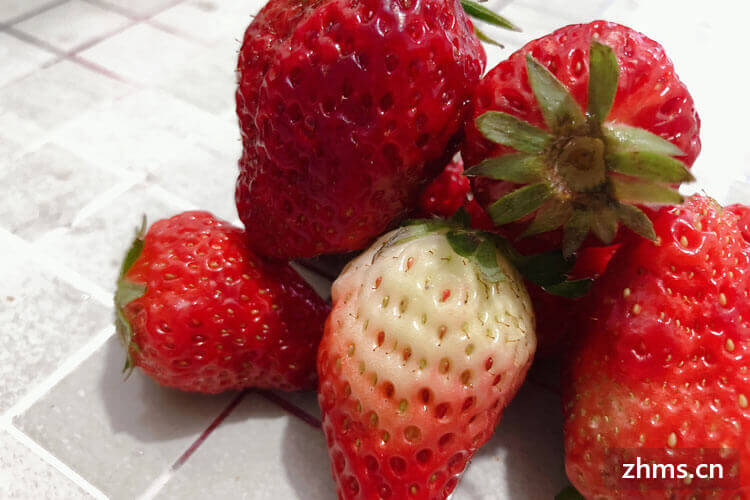 草莓什么季节