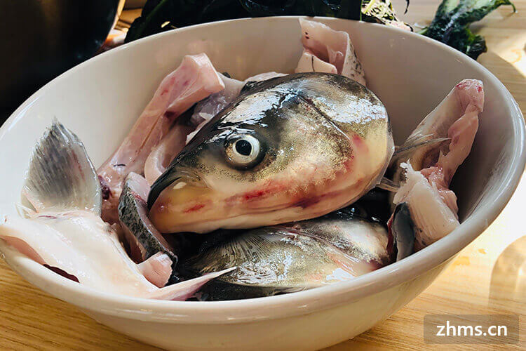 鱼头炖豆腐汤用什么鱼