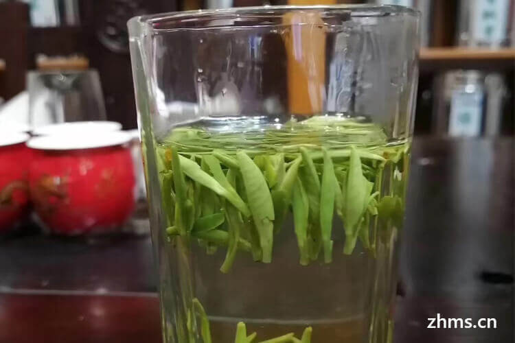 竹叶青属于什么茶