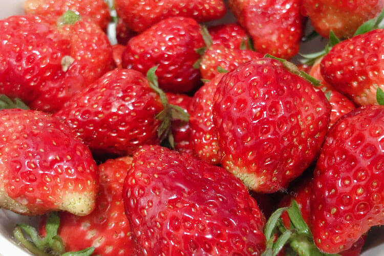 不小心吃了坏了的草莓，吃了坏了的草莓怎么办啊？