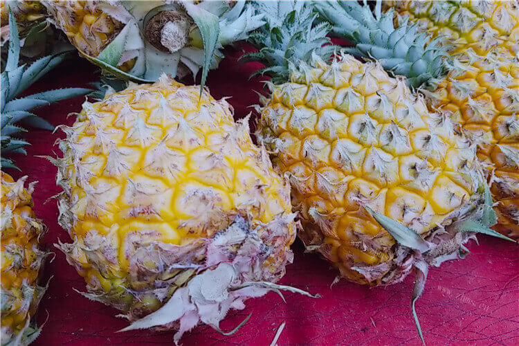 凤梨和菠萝味道有区别吗，菠萝和凤梨哪个好吃呢？