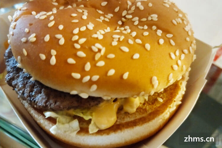 黑龙江加盟品牌汉堡多少费用