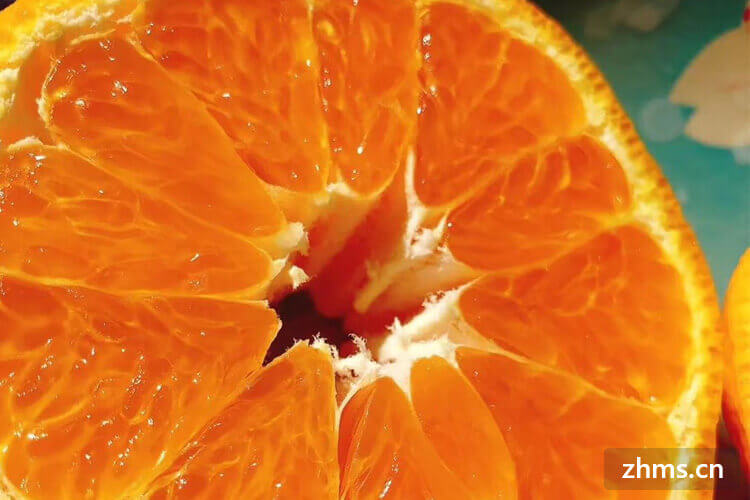 橘子种类