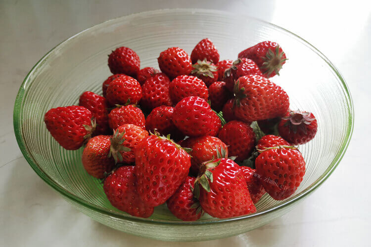 想种草莓，哪种品种的草莓好吃又好栽？