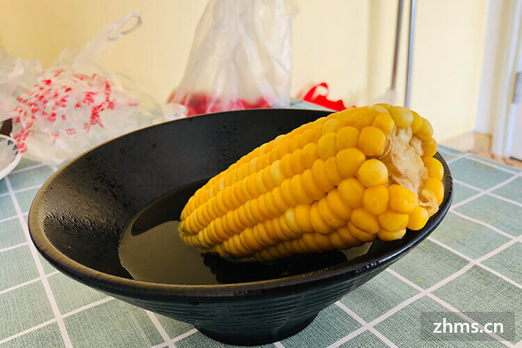 玉米煮多久熟