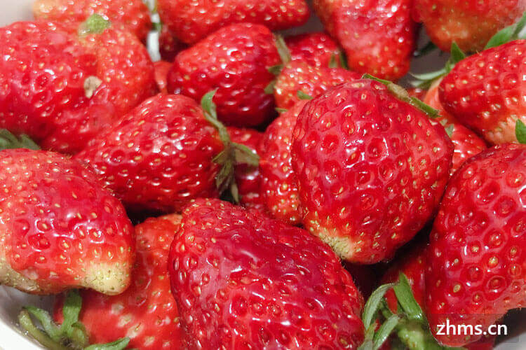 春天草莓是应季水果吗？几月份可以摘草莓？