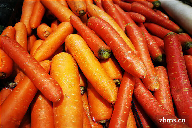 胡萝卜是什么季节的蔬菜