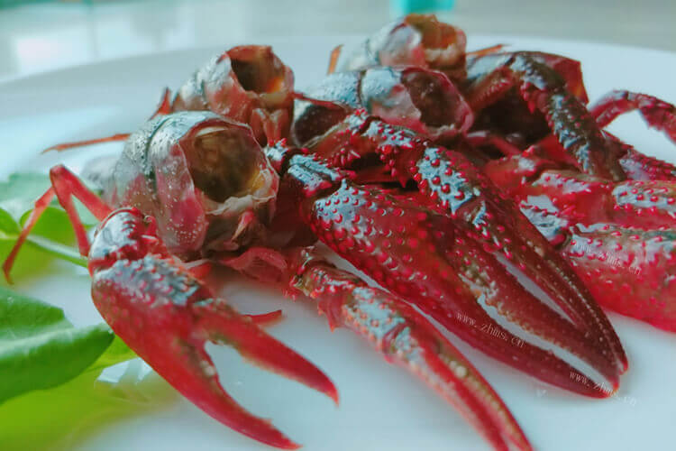  热的小龙虾需求有限，想知道熟食小龙虾走冷链多少钱？
