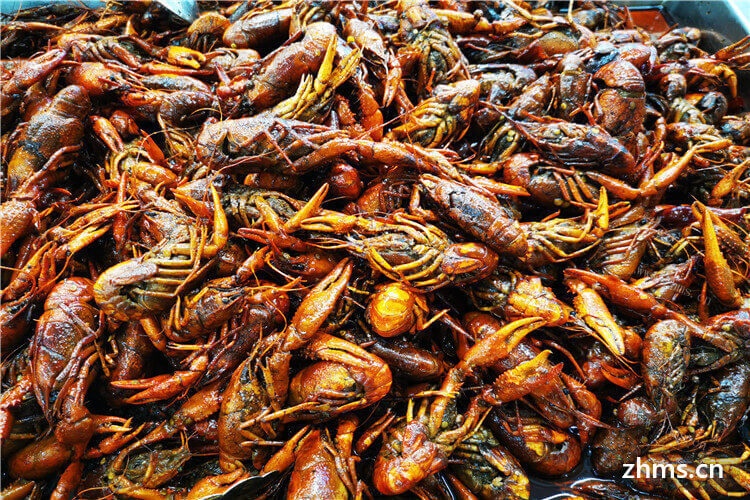 从遵义小龙虾批发市场购买了小龙虾，小龙虾要怎么煮？