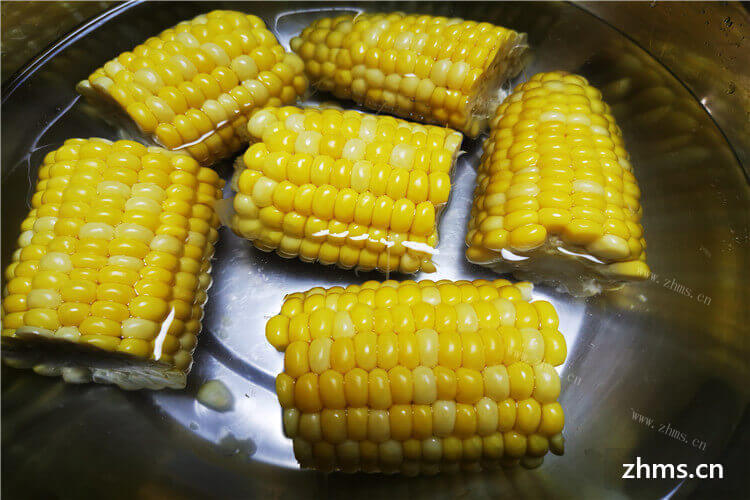 家里买了一些玉米，想做蒸玉米，玉米可以蒸多久可以吃