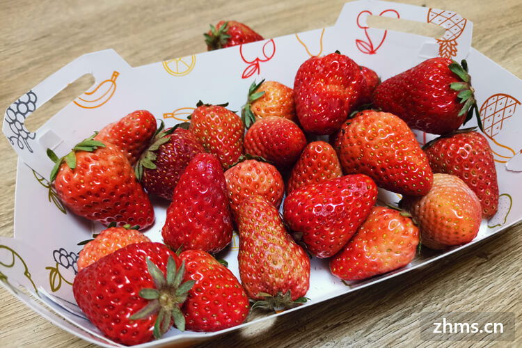 野生草莓什么季节成熟