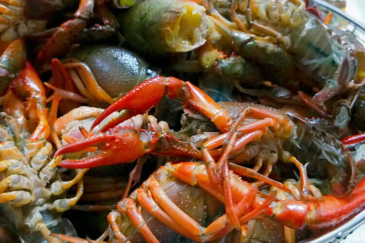 最近想吃龙虾，新冠疫情期间龙虾可以吃吗？