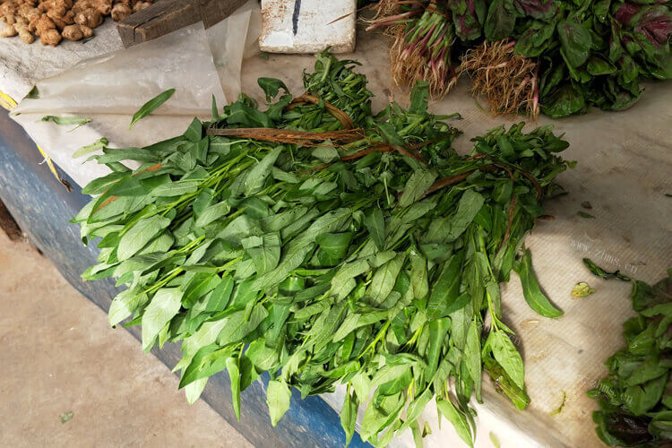 吃成熟的空心菜的时候，梗子附近的空心菜叶子用去掉吗？