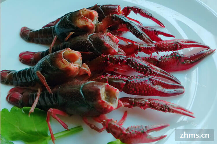 小龙虾经常出现在我们的餐桌上，请问湖北和湖南哪的小龙虾好吃一些？