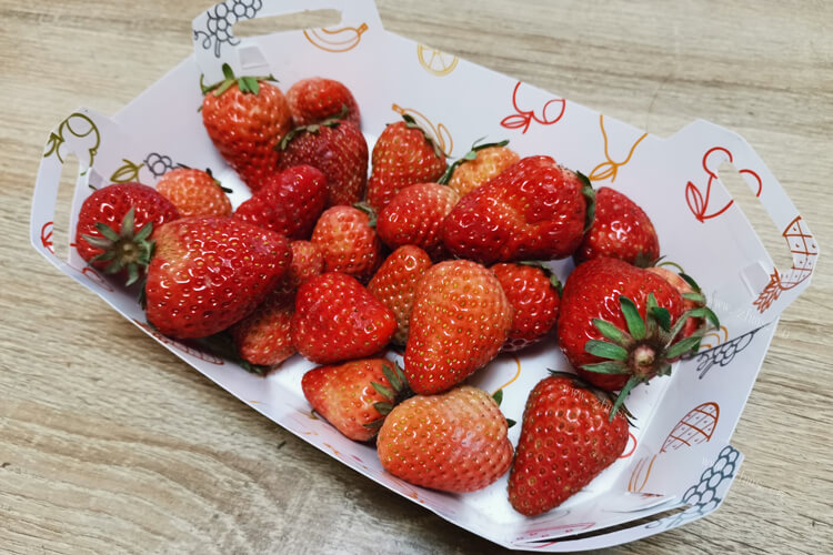 夏天也会有草莓的，夏天结果的草莓好吃吗？