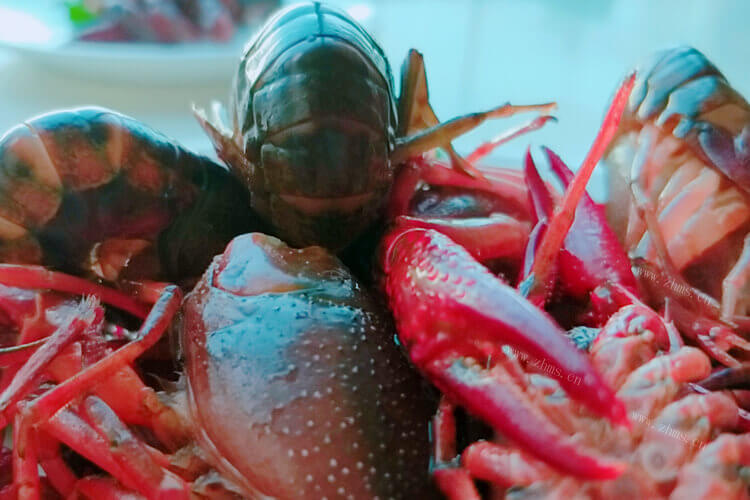 刷龙虾时怎么让龙虾死掉，啥龙虾好吃呢