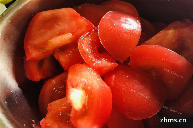 番茄品种有哪些