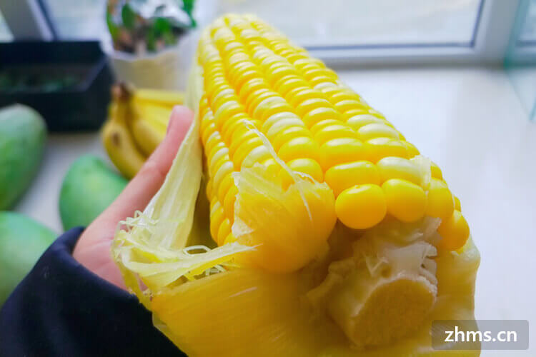 玉米的卡路里是多少？吃水煮玉米可以减肥吗?