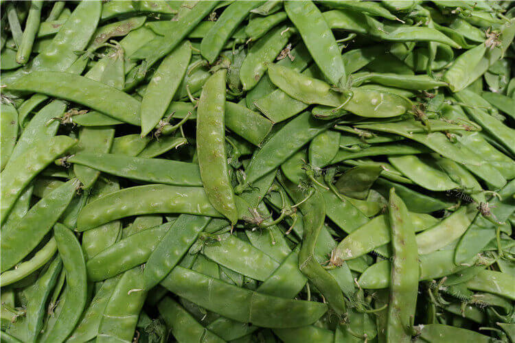 荷兰豆炒腊肉可以隔夜吃吗，有没有好的推荐？