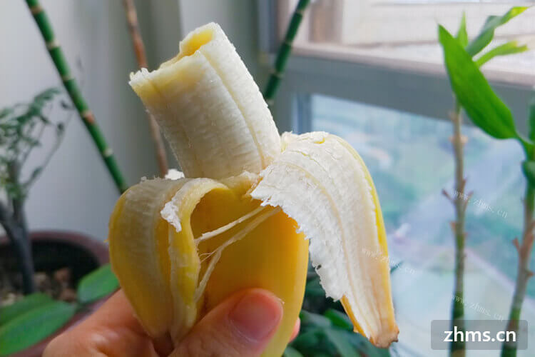 可是市面上有许多人工催熟的香蕉，怎么辨别催熟的香蕉