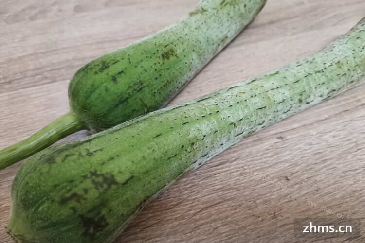 丝瓜要煮多久熟