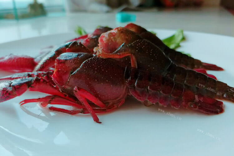 很多的朋友爱吃澳洲大龙虾，一般一只澳洲大龙虾多少斤？