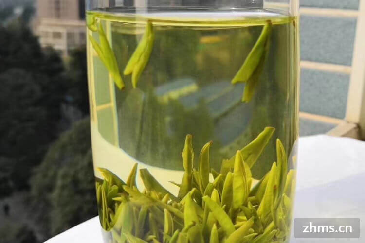 烘青绿茶有什么特点？烘青绿茶和炒青绿茶有什么区别？