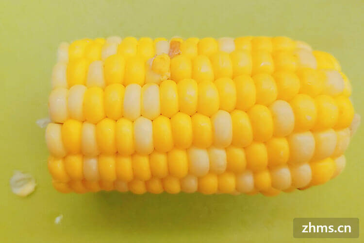 黄玉米是转基因食品吗
