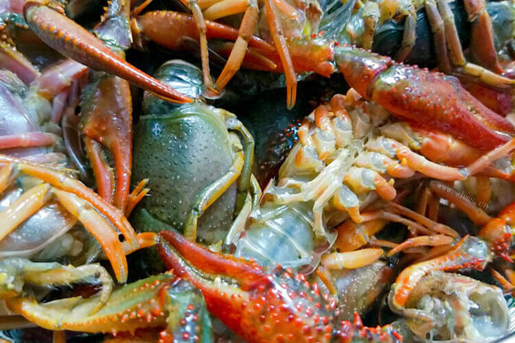 朋友送了很多小龙虾，吃不完，如何保存小龙虾？