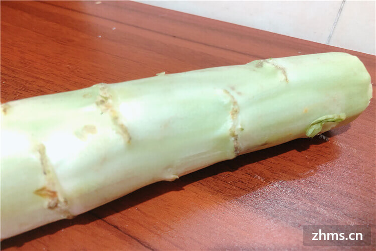 莴苣卷心菜是一个东西吗