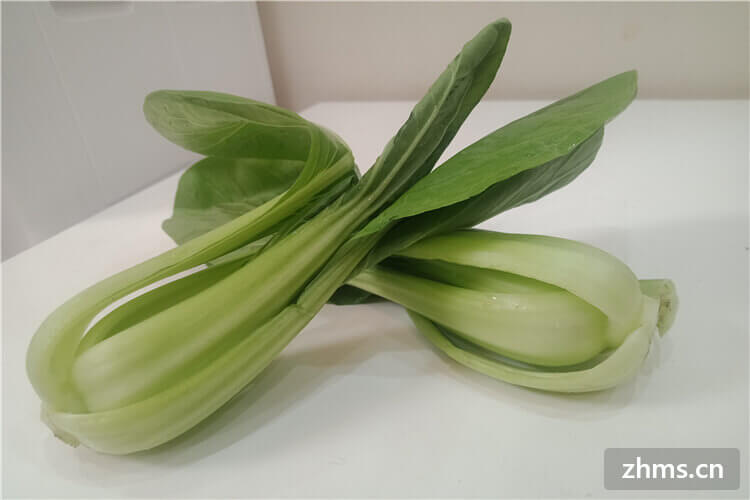 小白菜煮完发黄是为什么?小白菜都有哪些好处? 小白菜煮完发黄是为什么?小白菜都有哪些好处?