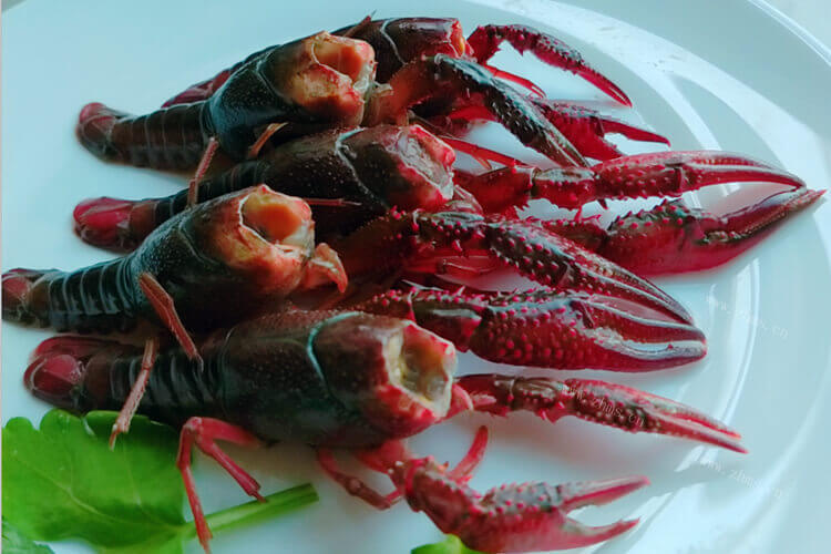 重庆批发小龙虾的价格多少呀，重庆哪里批发小龙虾最便宜？