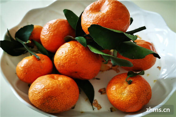 橘子哪里产的好吃