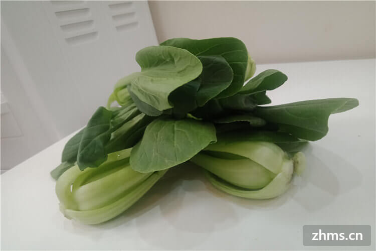 鸡毛菜与小白菜区别都有什么呢 鸡毛菜与小白菜区别都有什么呢
